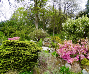 flower garden